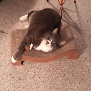 Meet your Posher, Beth